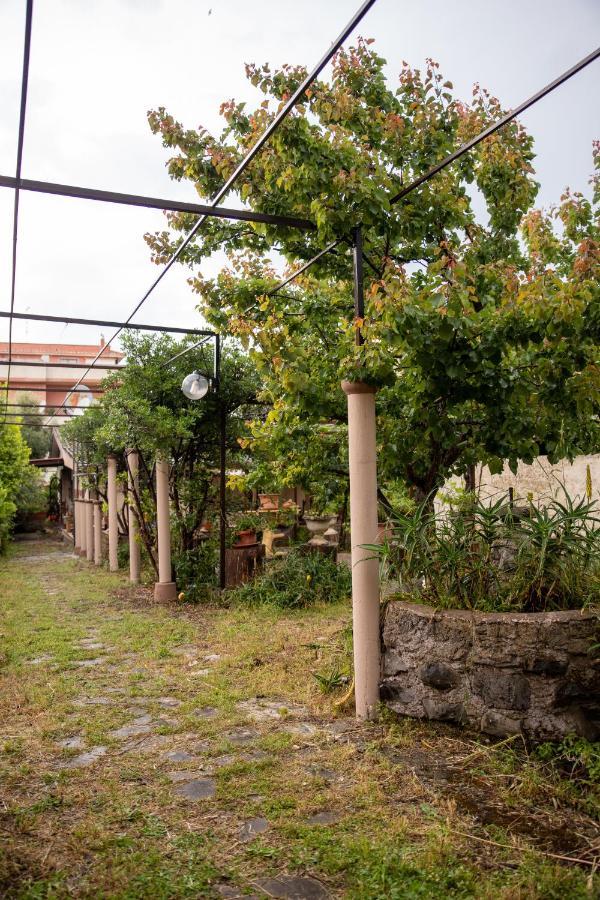 Suite Gli Ulivi Colonna Εξωτερικό φωτογραφία